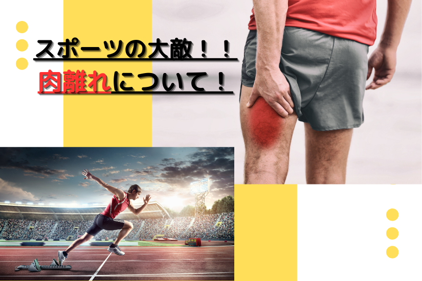 「スポーツ選手がよく肉離れになるのはなぜ？のサムネイル」